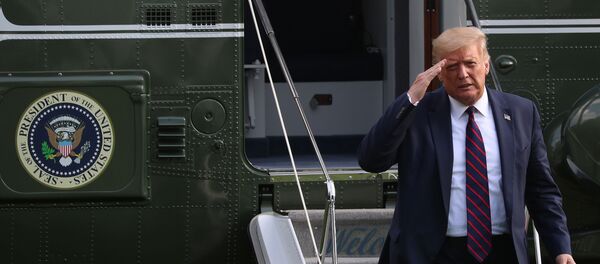 U.S. President Donald Trump walks from Marine One to the South Portico of the White House following a day trip to North Carolina, in Washington, U.S., July 27, 2020. U.S. President Donald Trump walks from Marine One to the South Portico of the White House following a day trip to North Carolina, in Washington, U.S., July 27, 2020. - Sputnik Afrique