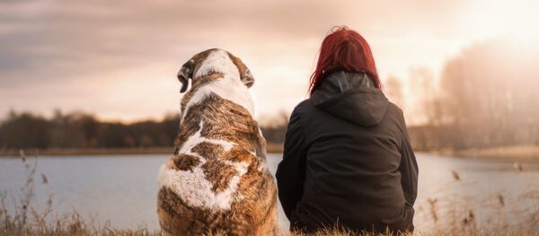 Un chien et son humain  - Sputnik Afrique