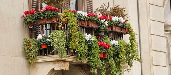 Un balcon - Sputnik Afrique