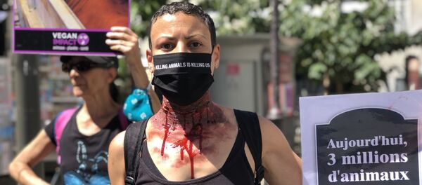 Un activiste du collectif Vegan Impact lors d'une action à Paris - Sputnik Afrique