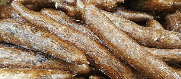 Manioc - Sputnik Afrique