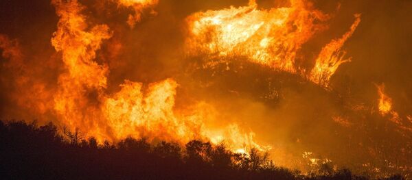 Un incendie de forêt - Sputnik Afrique