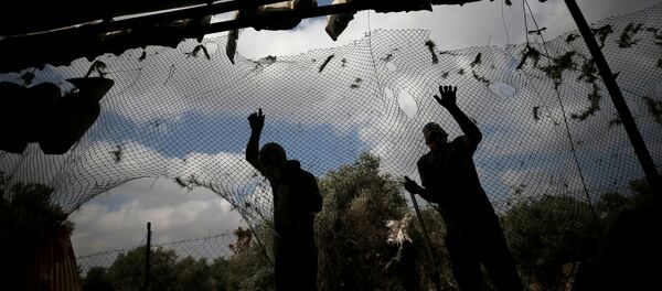 Bande de Gaza, le 6 juillet 2020 - Sputnik Afrique