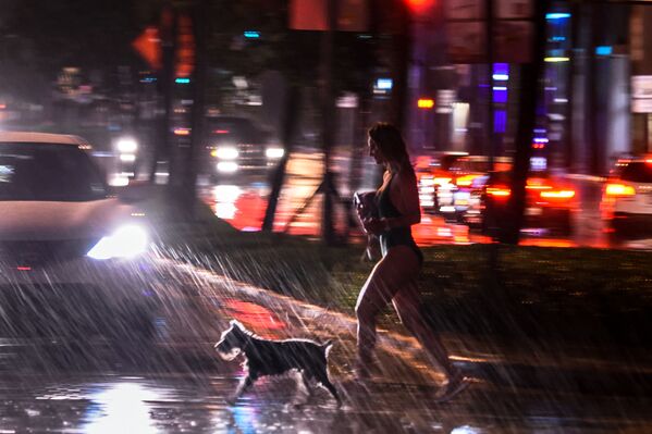 Une femme et un chien pris sous une averse, Miami.  - Sputnik Afrique