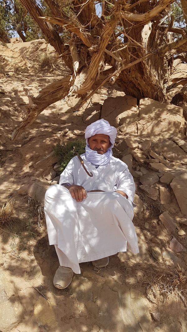 Algérie: à la recherche du mystérieux bélier à disque du Djebel Amour - Sputnik Afrique