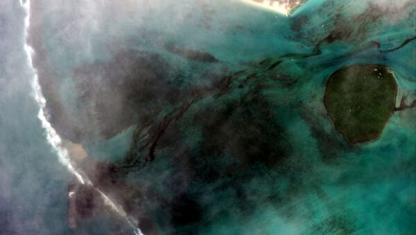 Une image satellite montrant la marée noire qui s'est formée - Sputnik Afrique