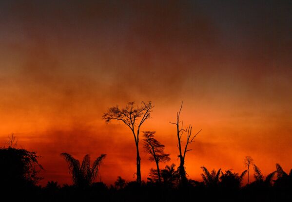 La forêt amazonienne en proie aux flammes

 - Sputnik Afrique