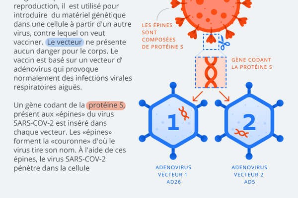 Vaccin à deux vecteurs contre le coronavirus - Sputnik Afrique