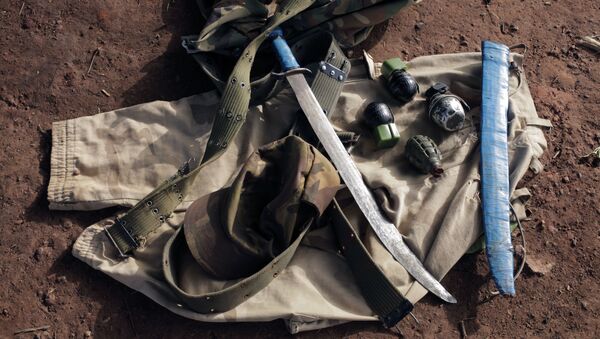 Une machette, des grenades saisies au Cameroun - Sputnik Afrique