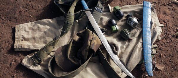 Une machette, des grenades saisies au Cameroun - Sputnik Afrique