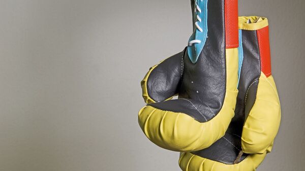 Des gants de boxe - Sputnik Afrique