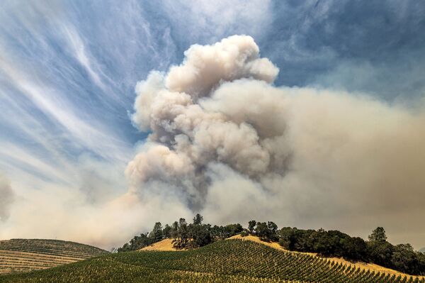 Tapis de flammes: la Californie en proie à 367 feux de forêt

 - Sputnik Afrique