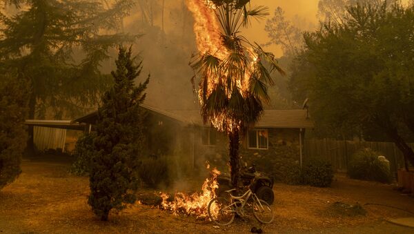La Californie ravagée par les flammes, le 18 août - Sputnik Afrique