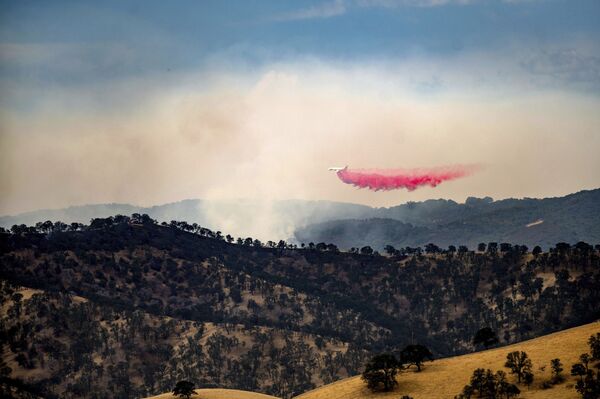 Tapis de flammes: la Californie en proie à 367 feux de forêt

 - Sputnik Afrique