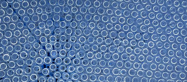 Production du vaccin russe Spoutnik V - Sputnik Afrique