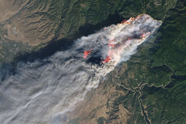 Images satellites de feux de forêt

 - Sputnik Afrique