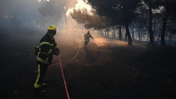 incendie ravage plusieurs hectares de végétation dans les Bouches-du-Rhône, le 24 août 2020 - Sputnik Afrique