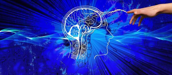 Le cerveau humain - Sputnik Afrique