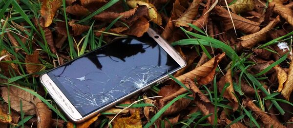 Téléphone dans l'herbe  - Sputnik Afrique