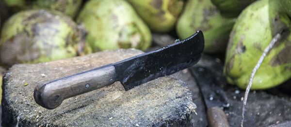 Un couteau - Sputnik Afrique