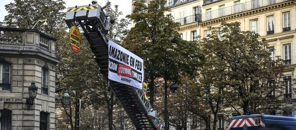 Action de Greepeace devant le palais de l'Elysée - Sputnik Afrique