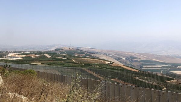 La frontière entre Israël et le Liban, image d'illustration  - Sputnik Afrique