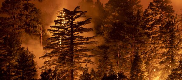 Un incendie en Californie - Sputnik Afrique