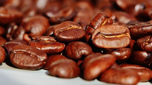 Les grains de café - Sputnik Afrique