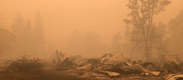L'Etat de l'Oregon après l'incendie en septembre 2020 L'Etat de l'Oregon après l'incendie en septembre 2020 - Sputnik Afrique