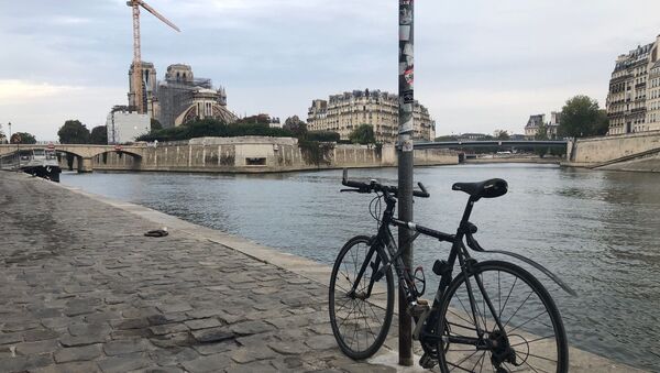 Paris, vue sur Notre-Dame - Sputnik Afrique