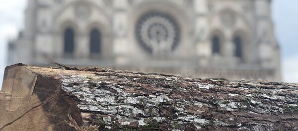 La charpente de Notre-Dame-de-Paris sera reconstruite à l'identique, en chêne - Sputnik Afrique