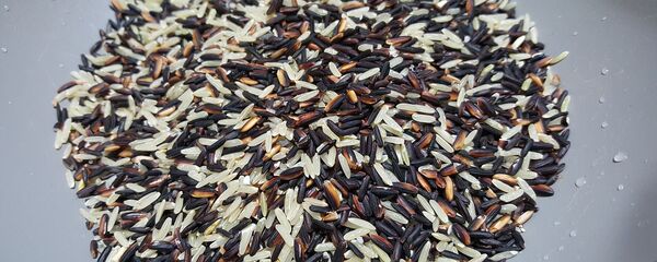 Riz brun - Sputnik Afrique