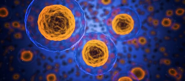 Des cellules Des cellules - Sputnik Afrique