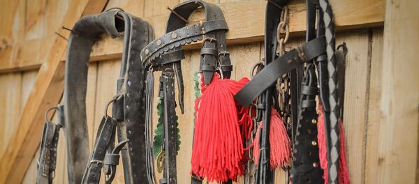 Harnais de cheval (image d'illustration) - Sputnik Afrique
