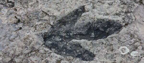 Une trace de dinosaure (image d'illustration) - Sputnik Afrique