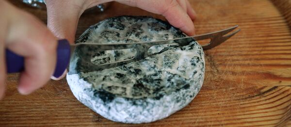 Fromage bleu - Sputnik Afrique