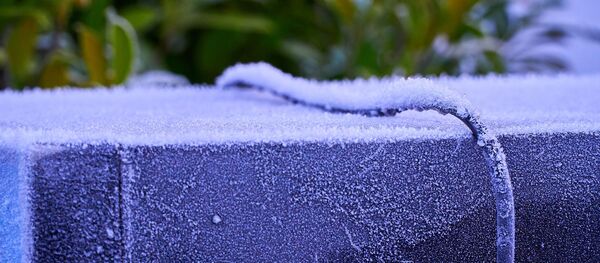 Un congélateur - Sputnik Afrique