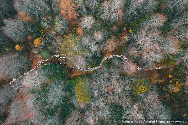 La Dame de la mer et l'Avion en feu: les lauréats des Aerial Photography Awards 2020

 - Sputnik Afrique