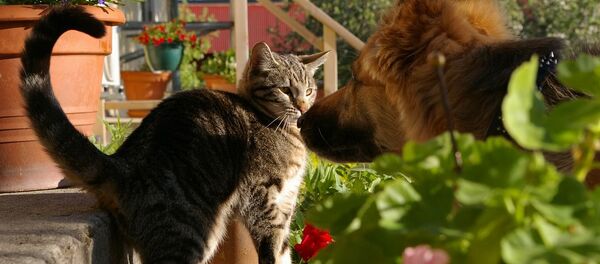 Photo d'illustration  - Sputnik Afrique