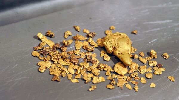 Extraction de l'or en Transbaïkalie (archive  photo) - Sputnik Afrique
