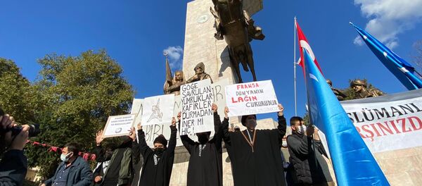 Une manifestation anti-Macron à Istanbul, le 1er novembre - Sputnik Afrique