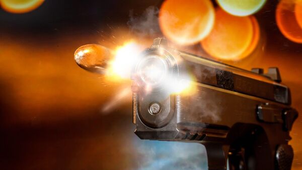 Une arme à feu (image d'illustration) - Sputnik Afrique