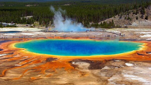 Parc national de Yellowstone - Sputnik Afrique