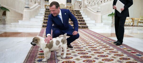 Inauguration au Turkménistan d’un monument au symbole national canin du pays – vidéo - Sputnik Afrique