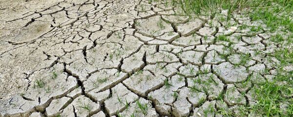 réchauffement climatique - Sputnik Afrique