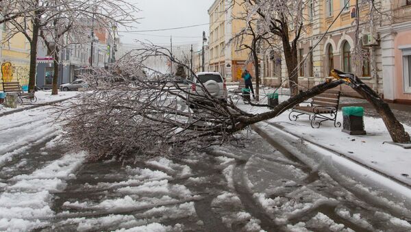 Les conséquences d'une pluie verglaçante à Vladivostok, le 19 novembre  - Sputnik Afrique