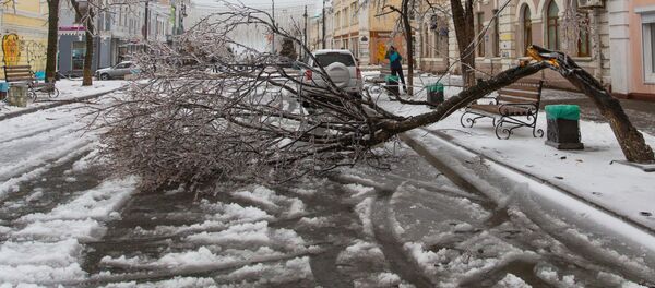 Les conséquences d'une pluie verglaçante à Vladivostok, le 19 novembre  - Sputnik Afrique