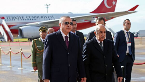 Le Président turc Recep Tayyip Erdogan est accueilli à sa descente de l’avion par le Président algérien Abdelmadjid Tebboune lors de sa visite à Alger, le 26 janvier 2020. - Sputnik Afrique