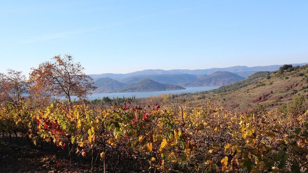 Lac du Salagou dans l'Hérault / image d'illustration - Sputnik Afrique
