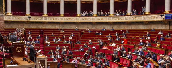 Assemblée nationale - Sputnik Afrique